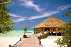 bimini