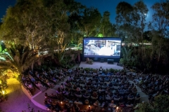 Fantastic-Outdoor-Cinemas