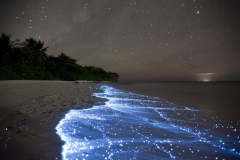 Sea of Stars on Vaadhoo Island in the Maldives