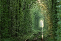 Tunnel of Love in Klevan, Ukraine