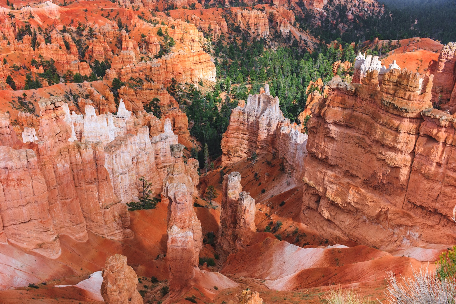 Grand Canyon, United States
