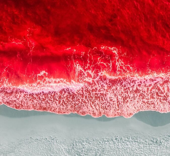Red Sea, Egypt, Jordan, Saudi Arabia, Israel
