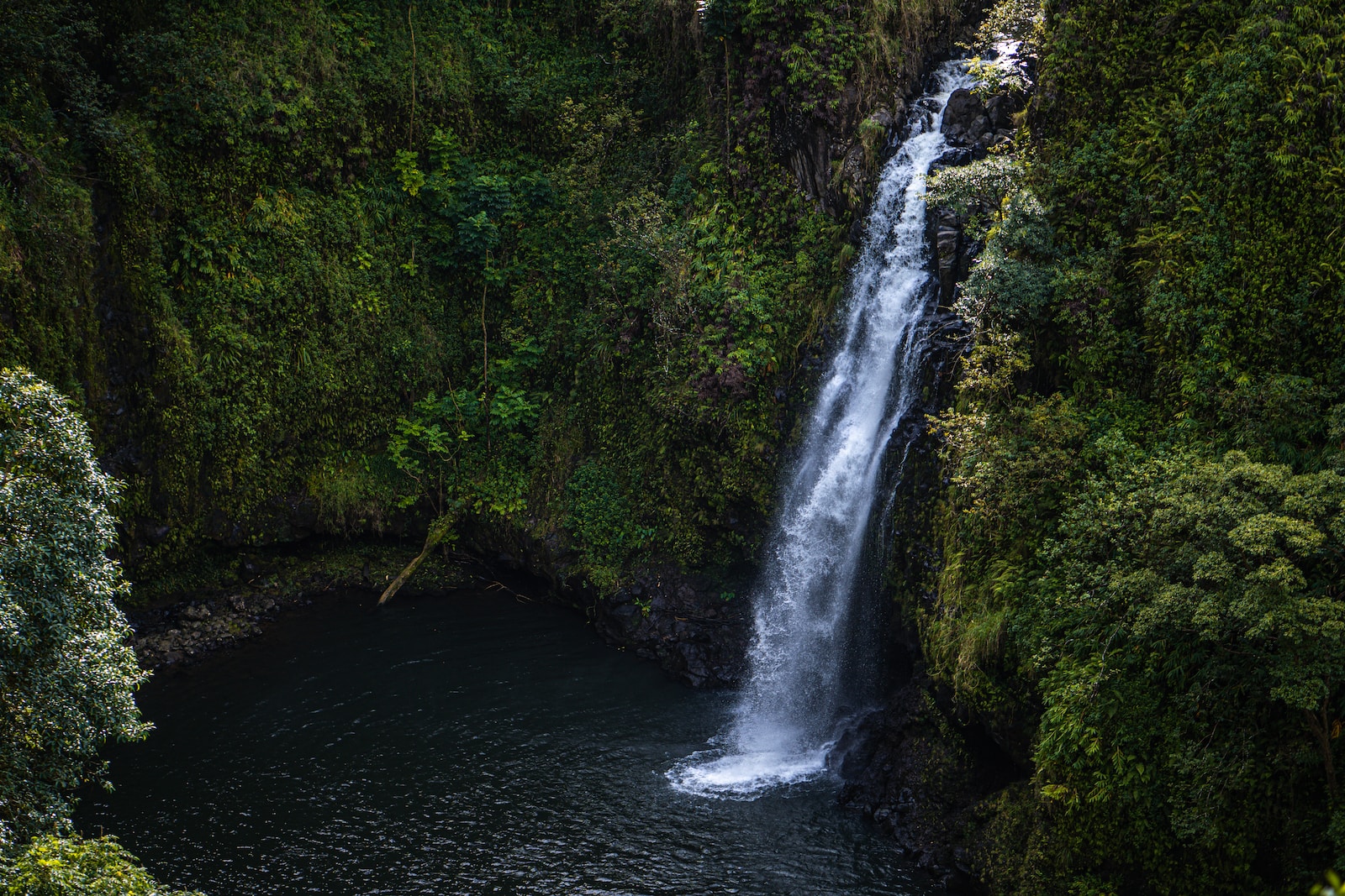 Road to Hana, Maui, Hawaiis
