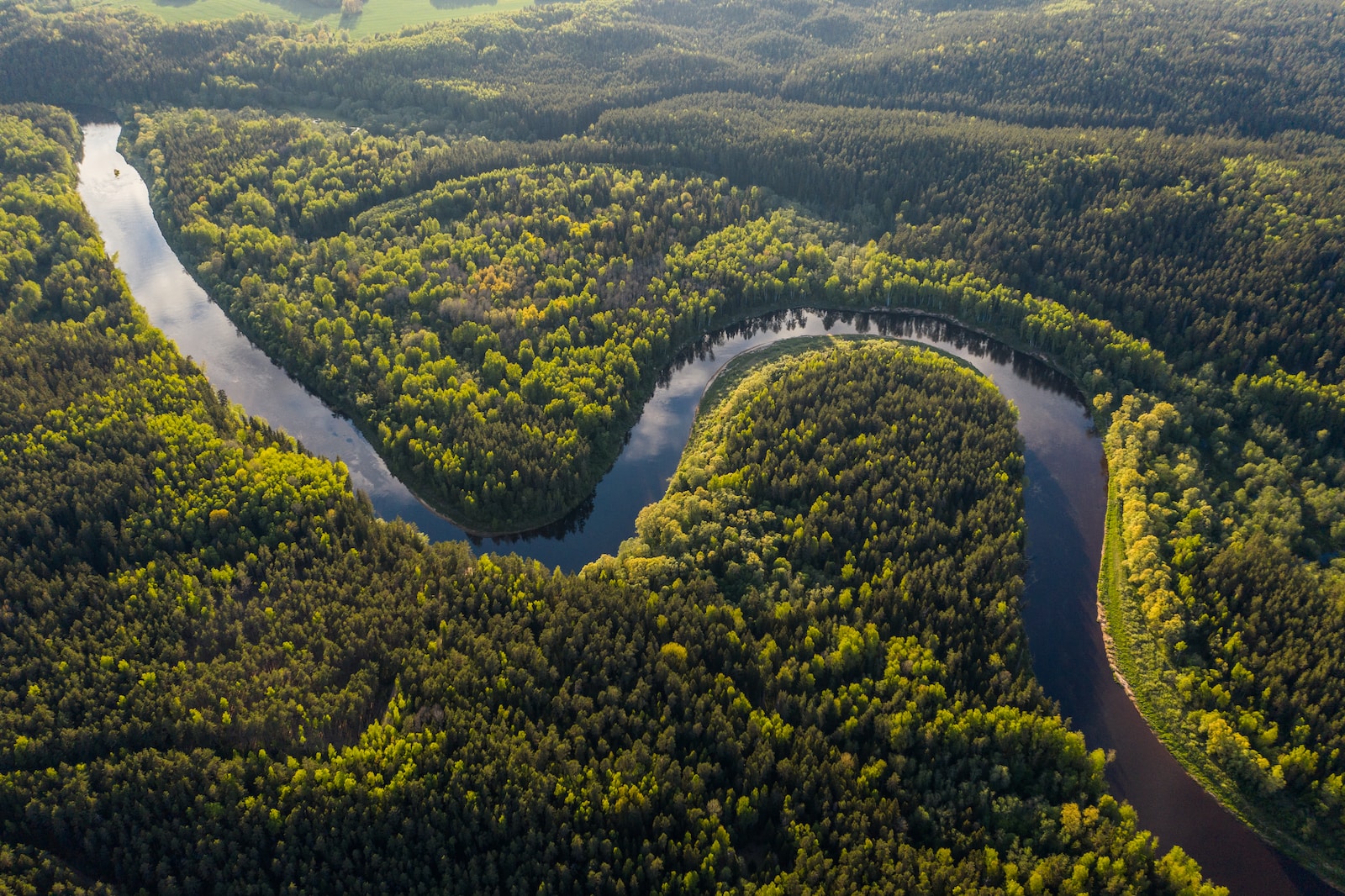 Amazon Rainforest, South America